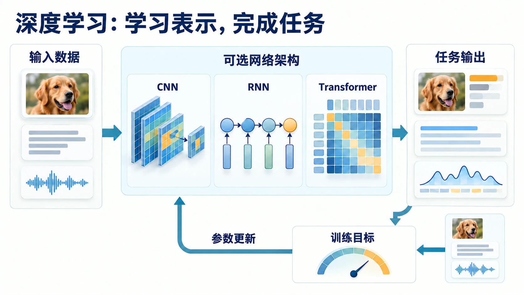 深度学习用网络学习数据表示；CNN、RNN 与 Transformer 是可选架构，训练目标指导参数更新。