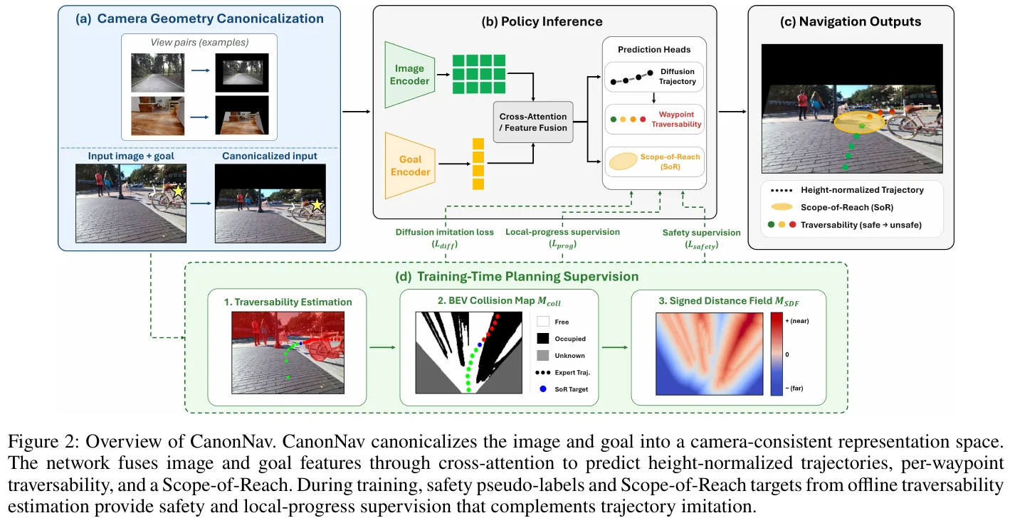 Figure 2: CanonNav overall architecture. (a) Observations and targets are converted to normalized geometric space; (b) DINOv3 backbone network extracts features, and the diffusion model outputs highly normalized trajectories, waypoint traffic rates, and SoR; (d) Offline BEV collision graphs and SDF provide safety and local advancement supervision.