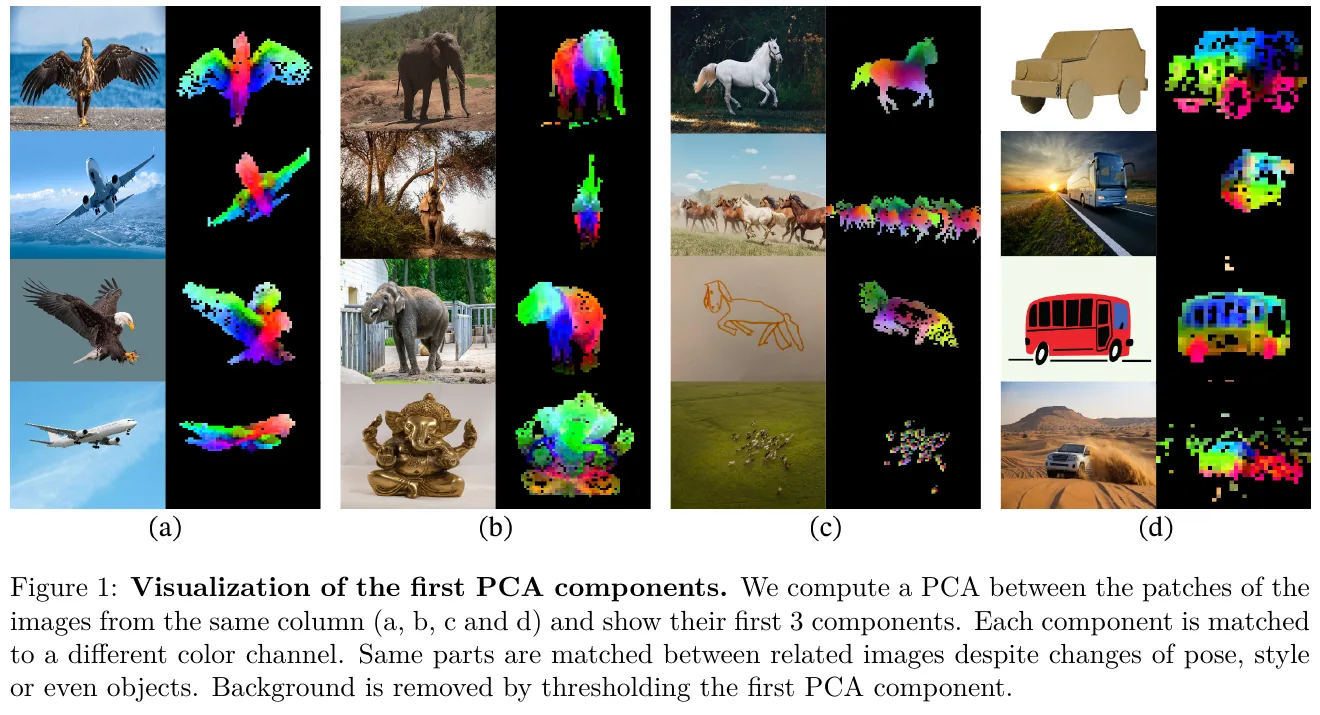 Figure: DINOv2 patch feature PCA visualization - the first principal component naturally corresponds to the foreground object (Source: DINOv2 paper)